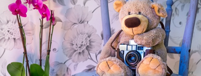 teddy bear 1710641 960 720